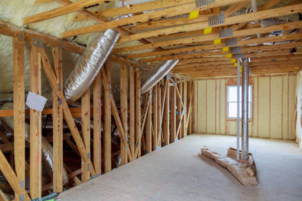 Best Insulation Removal  in Royalton, MN